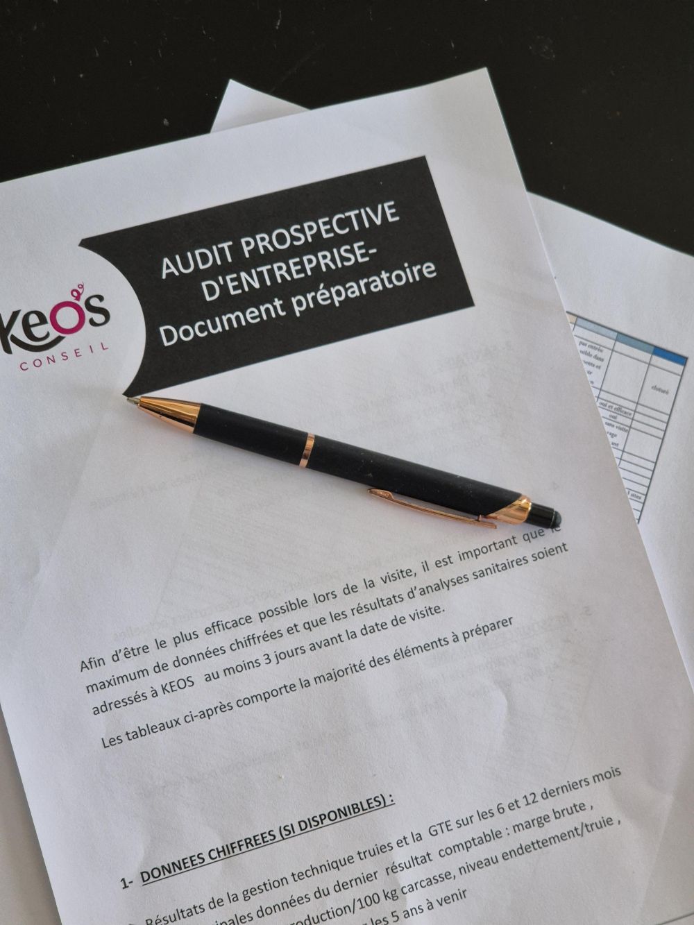 Document préparatoire pour l'audit global Document préparatoire pour l'audit global